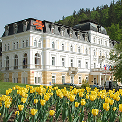 Ensana Centrálni Lázně Health Spa Hotel, Marienbad