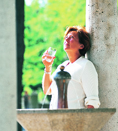 Behringer Quelle in Bad Suderode